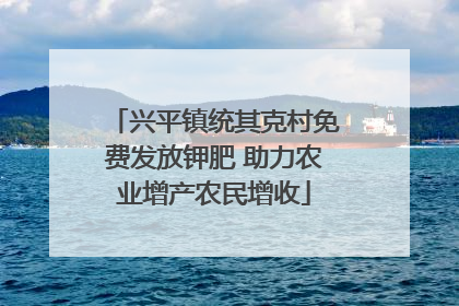 兴平镇统其克村免费发放钾肥 助力农业增产农民增收
