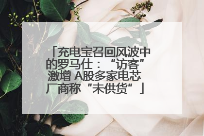 充电宝召回风波中的罗马仕：“访客”激增 A股多家电芯厂商称“未供货”