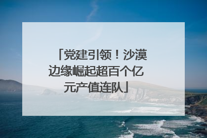 党建引领！沙漠边缘崛起超百个亿元产值连队