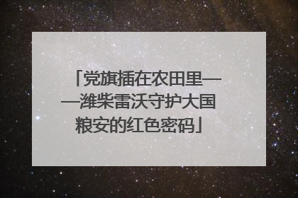 党旗插在农田里——潍柴雷沃守护大国粮安的红色密码