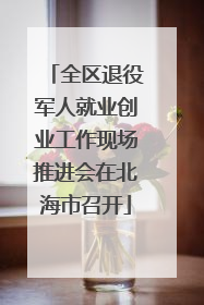 全区退役军人就业创业工作现场推进会在北海市召开