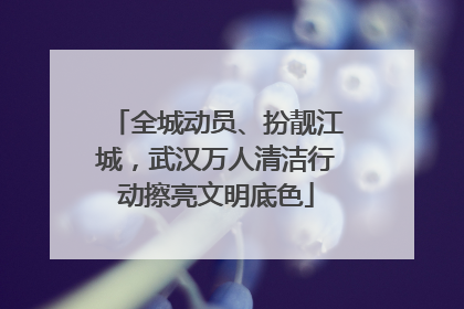 全城动员、扮靓江城，武汉万人清洁行动擦亮文明底色