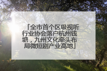 全市首个区级视听行业协会落户杭州钱塘，九州文化牵头布局微短剧产业高地