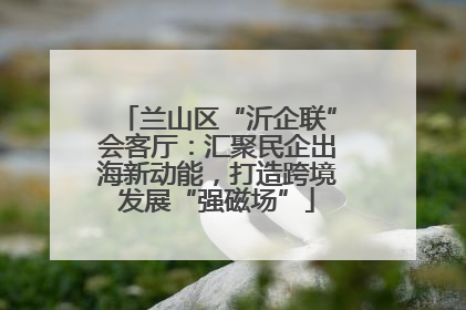 兰山区“沂企联”会客厅：汇聚民企出海新动能，打造跨境发展“强磁场”