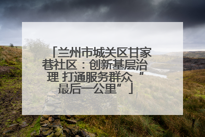 兰州市城关区甘家巷社区：创新基层治理 打通服务群众“最后一公里”