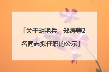 关于胡艳兵、郑涛等2名同志拟任职的公示