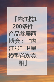 内江携1200多件产品参展西博会：“内江号”卫星模型首次亮相