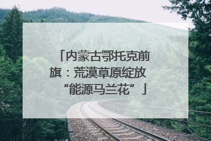 内蒙古鄂托克前旗：荒漠草原绽放“能源马兰花”