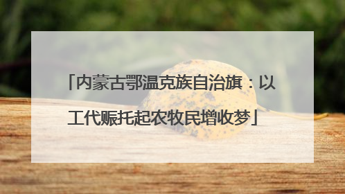 内蒙古鄂温克族自治旗：以工代赈托起农牧民增收梦