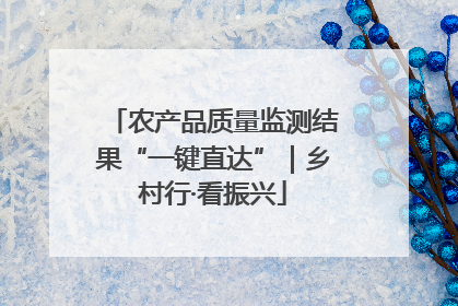 农产品质量监测结果“一键直达”｜乡村行·看振兴