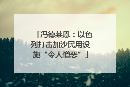 冯德莱恩：以色列打击加沙民用设施“令人憎恶”