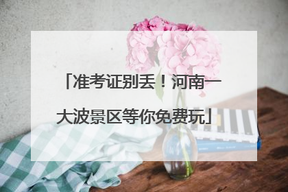 准考证别丢！河南一大波景区等你免费玩