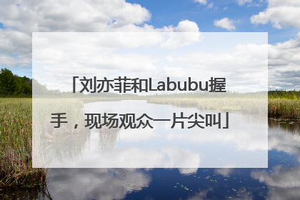 刘亦菲和Labubu握手，现场观众一片尖叫