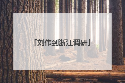 刘伟到浙江调研