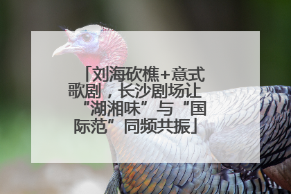刘海砍樵+意式歌剧，长沙剧场让“湖湘味”与“国际范”同频共振