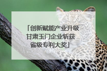 创新赋能产业升级 甘肃玉门企业斩获省级专利大奖