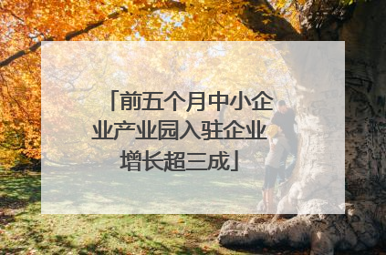 前五个月中小企业产业园入驻企业增长超三成