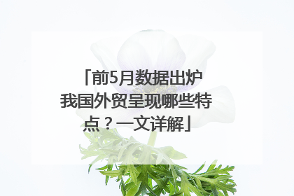 前5月数据出炉 我国外贸呈现哪些特点？一文详解
