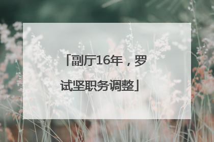 副厅16年，罗试坚职务调整