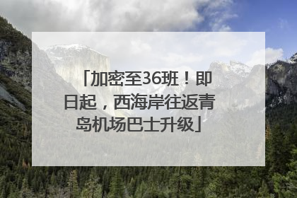 加密至36班！即日起，西海岸往返青岛机场巴士升级