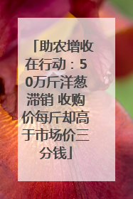助农增收在行动：50万斤洋葱滞销 收购价每斤却高于市场价三分钱