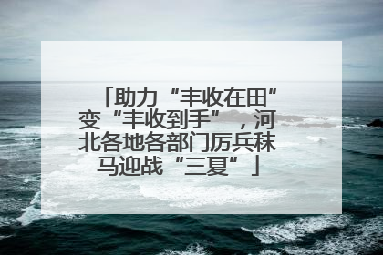 助力“丰收在田”变“丰收到手”，河北各地各部门厉兵秣马迎战“三夏”