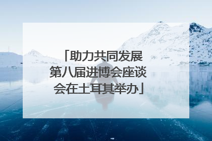 助力共同发展 第八届进博会座谈会在土耳其举办