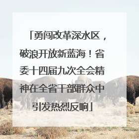 勇闯改革深水区，破浪开放新蓝海！省委十四届九次全会精神在全省干部群众中引发热烈反响