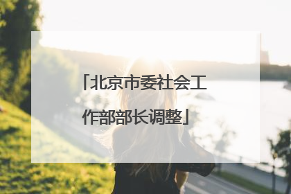 北京市委社会工作部部长调整