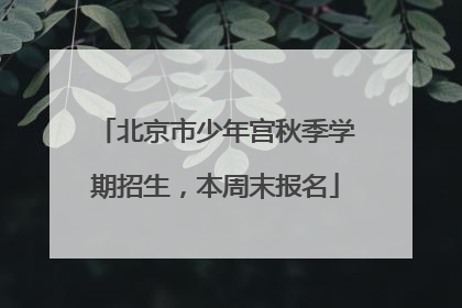 北京市少年宫秋季学期招生，本周末报名