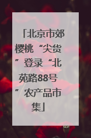 北京市郊樱桃“尖货”登录“北苑路88号”农产品市集