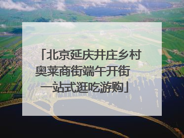 北京延庆井庄乡村奥莱商街端午开街 一站式逛吃游购