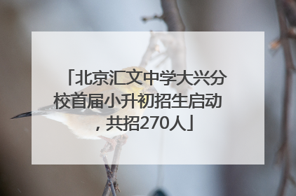北京汇文中学大兴分校首届小升初招生启动，共招270人