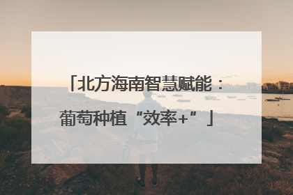 北方海南智慧赋能：葡萄种植“效率+”