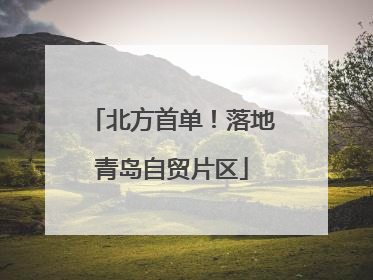北方首单！落地青岛自贸片区