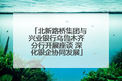 北新路桥集团与兴业银行乌鲁木齐分行开展座谈 深化银企协同发展