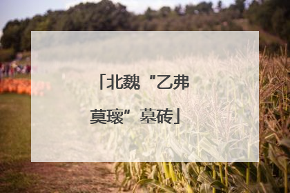 北魏“乙弗莫瓌”墓砖
