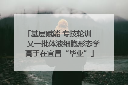基层赋能 专技轮训——又一批体液细胞形态学高手在宜昌“毕业”