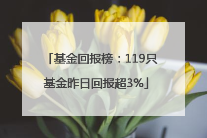 基金回报榜：119只基金昨日回报超3%