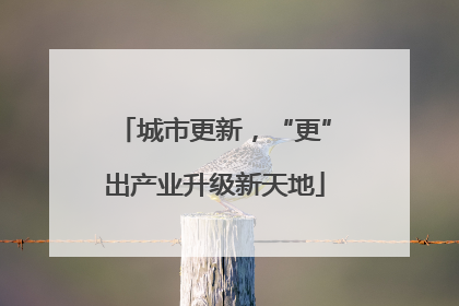 城市更新，“更”出产业升级新天地