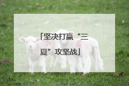 坚决打赢“三夏”攻坚战