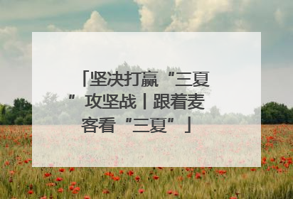 坚决打赢“三夏”攻坚战丨跟着麦客看“三夏”