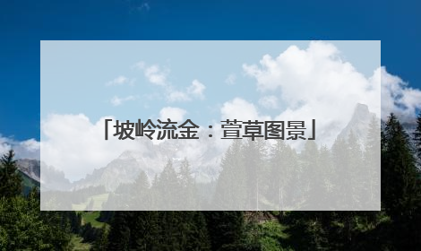 坡岭流金：萱草图景