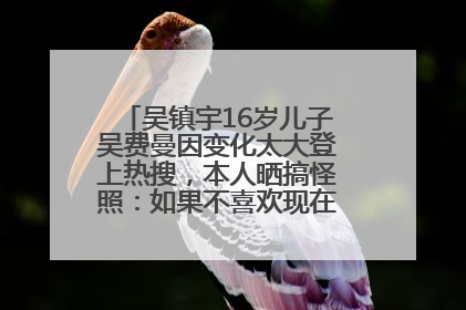 吴镇宇16岁儿子吴费曼因变化太大登上热搜，本人晒搞怪照：如果不喜欢现在的我可以离开