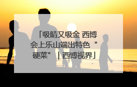 吸睛又吸金 西博会上乐山端出特色“硬菜”｜西博视界