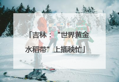 吉林：“世界黄金水稻带”上插秧忙