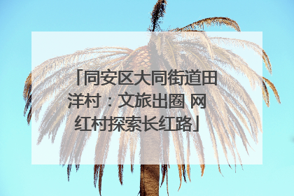 同安区大同街道田洋村：文旅出圈 网红村探索长红路