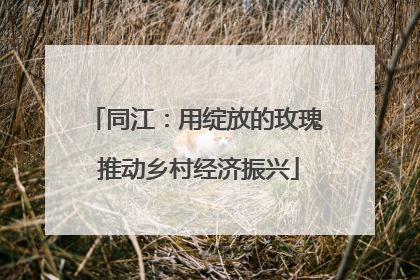 同江：用绽放的玫瑰 推动乡村经济振兴
