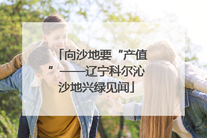 向沙地要“产值”——辽宁科尔沁沙地兴绿见闻
