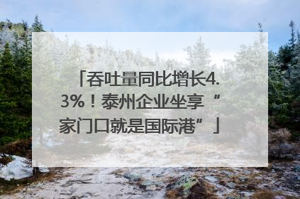 吞吐量同比增长4.3%！泰州企业坐享“家门口就是国际港”